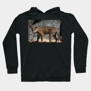 Jaguar Hoodie